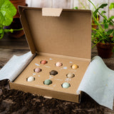Flowers For You - Wildflower Seed Box