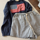 Navy Seabrook Stripe Shorts