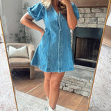 Everyday Icon Denim Dress