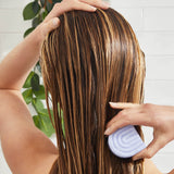 Purple Toning Shampoo & Conditioner Bar Combo