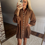 Brown Tannah Shirt Mini Dress