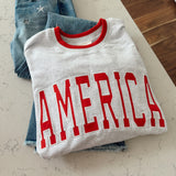 Light Heather Gray USA Sweatshirt