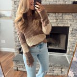 Mocha Colorblock Cable Knit Sweater