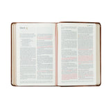 Aurora Compact Bible