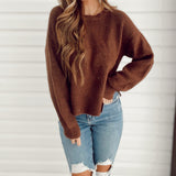 Spicy Nutmeg Sweater Crop