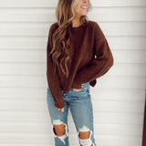 Spicy Nutmeg Sweater Crop